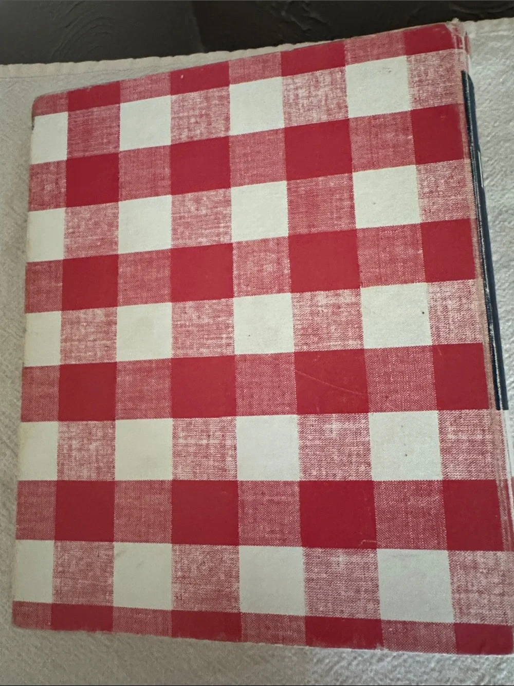 Better Homes And Gardens Red and White Check Cookbook with Navy Graphics